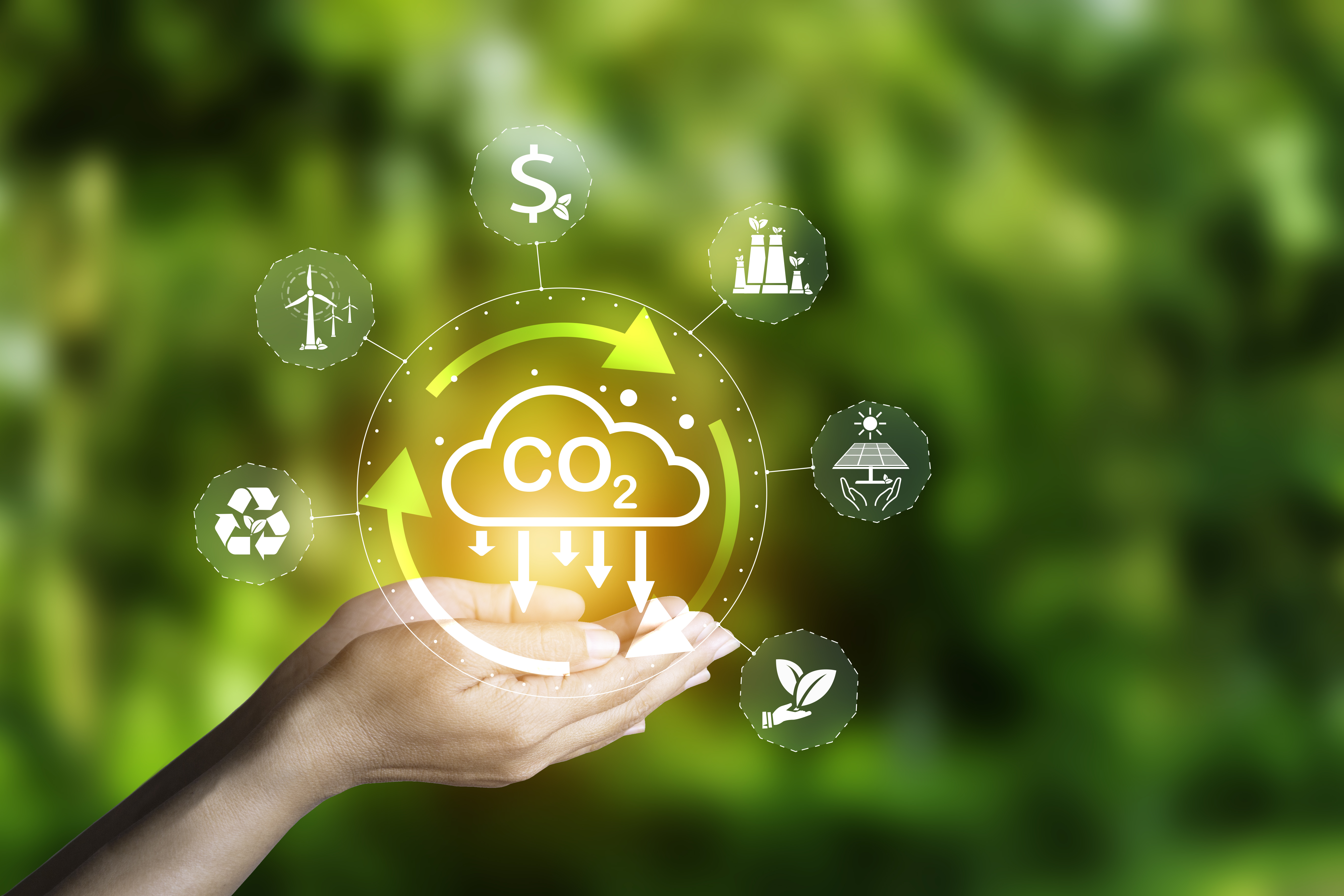 Environmental Impact